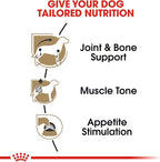 Royal Canin Breed Health Nutrition Dachshund Adult Loaf in Sauce Wet Dog Food, 3 oz can (24-Count)
