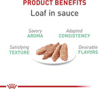 Royal Canin Feline Care Nutrition Digestive Care Adult Loaf in Sauce Cat Food, 5.1 oz (Pack of 24)