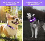PcEoTllar Light up Dog Collar for Night Walking - LED Dog Collar Light Rechargeable Color Changing, Glow in The Dark Dog Collars Waterproof Glowing Dog Collars for Large Small Medium Dogs, Purple S