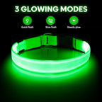 Illumifun Light Up Dog Collar, USB Rechargeable LED Dog Collar Glow in The Dark，Adjustable Pet Safety Lights for Night Walking (Green, Medium)