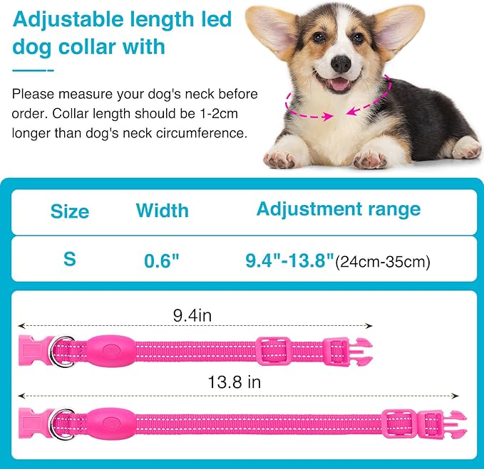 LED Dog Collar - Light Up, Adjustable, Rechargeable, Waterproof - Night Walking, Glow in Dark - Small, Pink