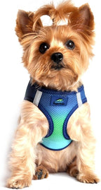 Doggie Design No Choke Dog Harness - Simple Step-in and Go Dog Vest for Small, Medium, and Large Breeds - Breathable Mesh Polyester Pet Harness - Northern Lights - L