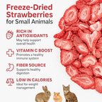 hotspot pets Freeze Dried Strawberry Treats for Small Animals, Cats & Dogs - Reasealable 1lb Big Bag Single Ingredient All Natural- Perfect for Training, Small Reward or Snack