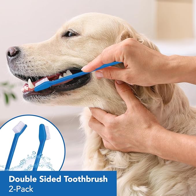Dog Toothbrush Set, Professional Dogs and Cat Grooming Supplies, Best Soft Bristle Toothbrush, Pack of 2 Double Sided Toothbrushes for Large and Small Pet Teeth