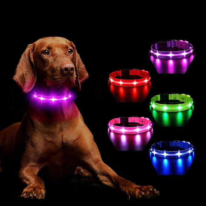 MASBRILL Light Up Dog Collar - RGB LED, Rechargeable, Water-Resistant Glow Up Night Walking Collar for Small to Large Dogs