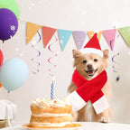 2 Pcs Pet Christmas Hat and Scarf Set, Santa Costume Accessories for Small Dogs and Cats, Adjustable Holiday Outfit for Puppy Kitten Xmas Party and Winter Dress Up