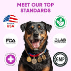 Dog Allergy Relief Chews for Itchy Skin - Seasonal and Food Allergy Chews for Shedding, Licking Paws, Hot Spot, Ears - USA Product - Omega 3 Fish Oil Skin & Coat Supplement - Anti Itch Immune Treats