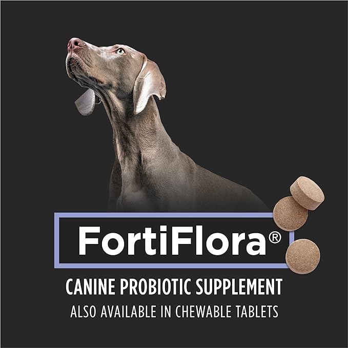 Purina Pro Plan Veterinary Supplements FortiFlora Canine Probiotic Supplement Probiotics for Dogs
