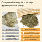 Catnip Toys for Indoor Cats - Cat Toys Pack of 3, Sisal Scratching Pad, Bite Resistant Kitten Teething Toys, Interactive Cat Nip Kicker Toys for Anxiety Relief