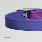 CollarDirect Leather Cat Collar, Kitten Collar with Removable Bell Black Blue Red Orange Lime Green (8-11 Inch, Purple)