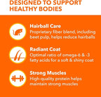 IAMS Proactive Health Long Hair Care Adult Dry Cat Food with Real Chicken & Salmon, 6 lb. Bag