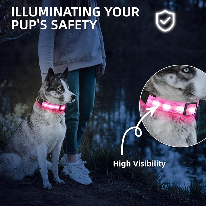Super Bright LED Dog Collar - Fully Waterproof & Adjustable Glow Collar - USB-C Rechargeable for Night Walking, Safety - Flashing Lighted Collar for Dogs(Pink,M)