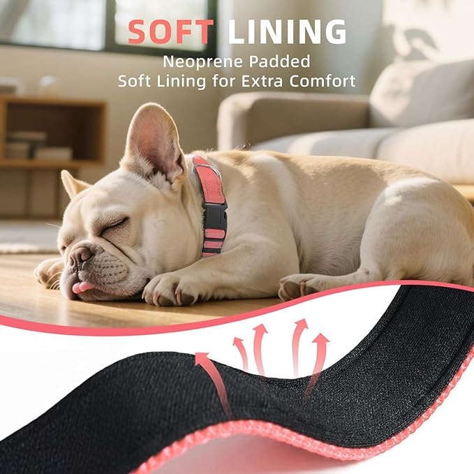 Reflective Dog Collar, Soft Neoprene Padded Nylon Pet Collar with Quick-Release Buckle, No-Choke Design Adjustable for Small Dogs,Neon Pink,S