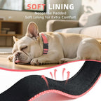 Reflective Dog Collar, Soft Neoprene Padded Nylon Pet Collar with Quick-Release Buckle, No-Choke Design Adjustable for Small Dogs,Neon Pink,S
