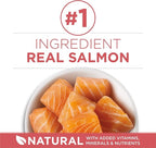 Purina ONE Natural Low Fat, Indoor Dry Weight Control High Protein Cat Food Plus Indoor Advantage With Real Salmon - 7 lb. Bag