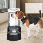 Sfozstra Large Dog Water Dispenser: 8L Automatic Black Water Feeder with Stainless Steel Bowl - Without Filter - Gravity Design for Multiple Pets Indoor/Outdoor