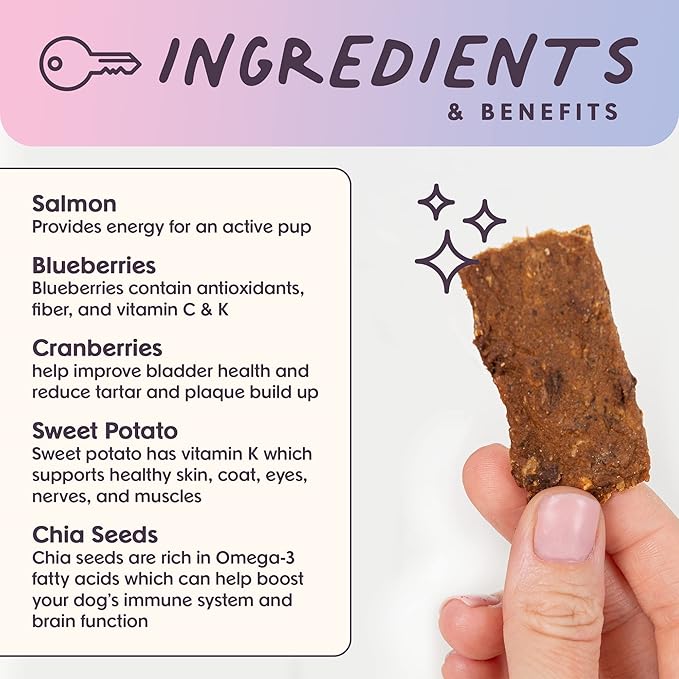 Ride & Vibe Dog Treats Salmon Jerky Snack Bars, 16 oz Bag, Puppy Training Treats, Natural Superfood Grain Free, Wild Caught Salmon, Superfoods, Corn, Poultry & Soy Free