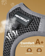 FAYOGOO Cat Harness, Cat Leash and Harness Set for Walking Escape Proof, Harness for Small Cats/Small Dogs, Large Kitten/Puppy Harness and Leash, Harness for Cats S-XXL(Black, XX-Large)