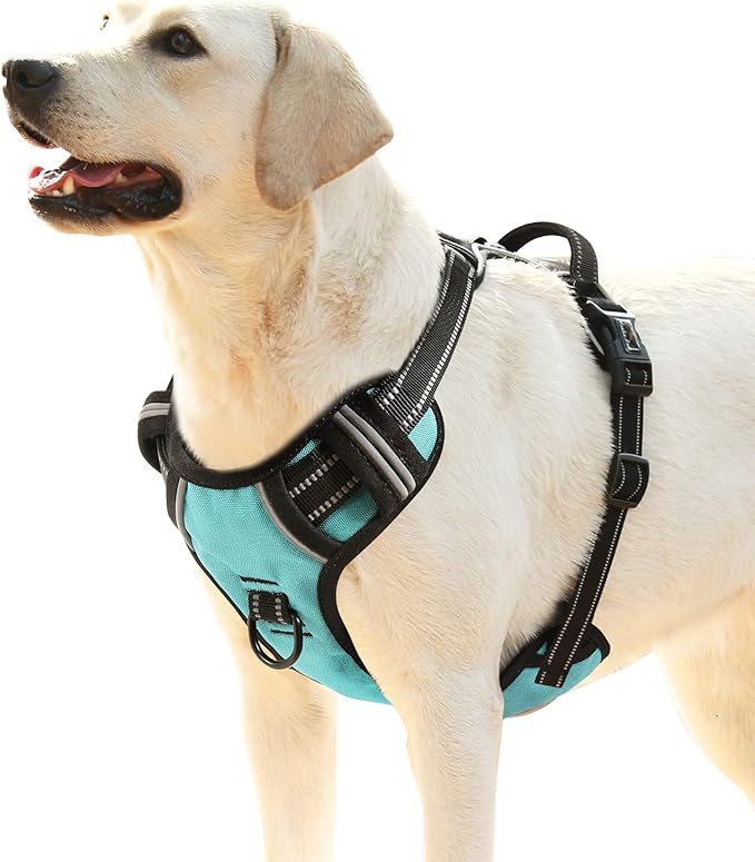 HEELE Dog Harness, No Pull Adjustable Padded Reflective Harness for Small Medium Large Dogs with Handle for Walking Training, Turquoisek, L