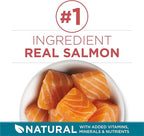 Purina ONE Natural Dry Cat Food, Tender Selects Blend with Real Salmon - 22 lb. Bag