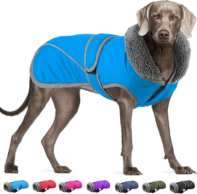 Dogcheer Dog Coat, Christmas Dog Jacket Waterproof Puppy Winter Coat for Cold Weather, Reflective Pet Snow Jacket Warm Turtleneck Fleece Sweater for Small Medium Large Dogs - Sky Blue, 2XL