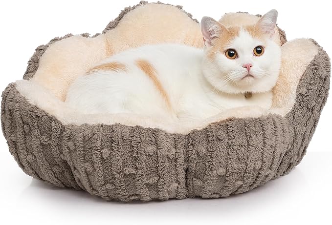 Hollypet Cozy Cat Beds for Indoor Cats - Cute Cactus Pet Beds, Fluffy Puppy Bed, Non-Slip Extra Small Dog Bed, Brown