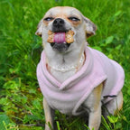 JACKO & CO - Fleece Vest Sweater with Leash Ring - Soft Lightweight Breathable for Puppies Small Medium Dogs, Kitten, Cats, Chihuahua - Warm for Fall/Autumn/Winter (Pink Lemonade, X-Large 17-25lbs)