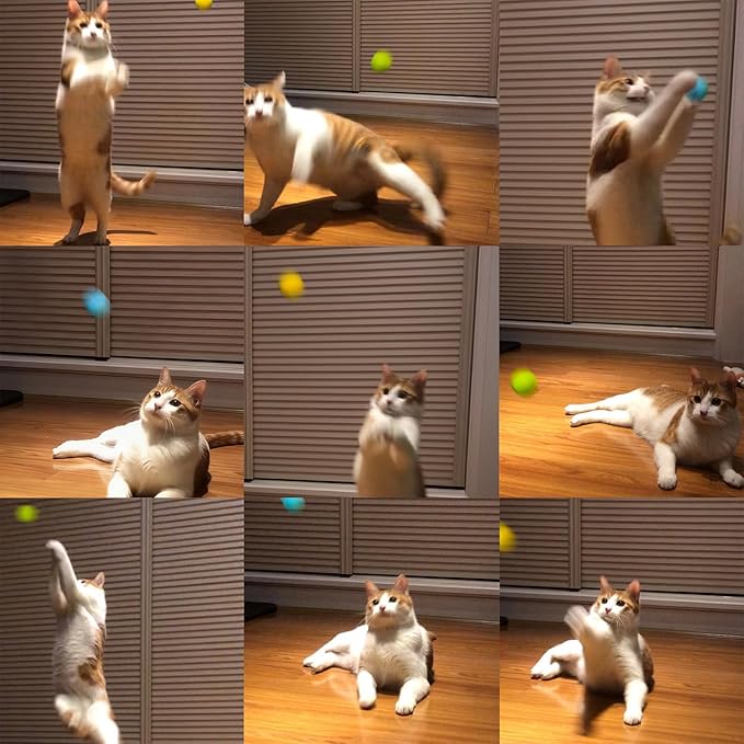 100% Wool Felt Cat Toy Balls – 6-Pack, 3 Colors – Natural, Durable & Safe Size for Kittens and Cats