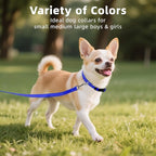 Reflective Dog Collar, Soft Neoprene Padded Nylon Pet Collar with Quick-Release Buckle, No-Choke Design Adjustable for Puppy Dogs,Navy Blue,XS