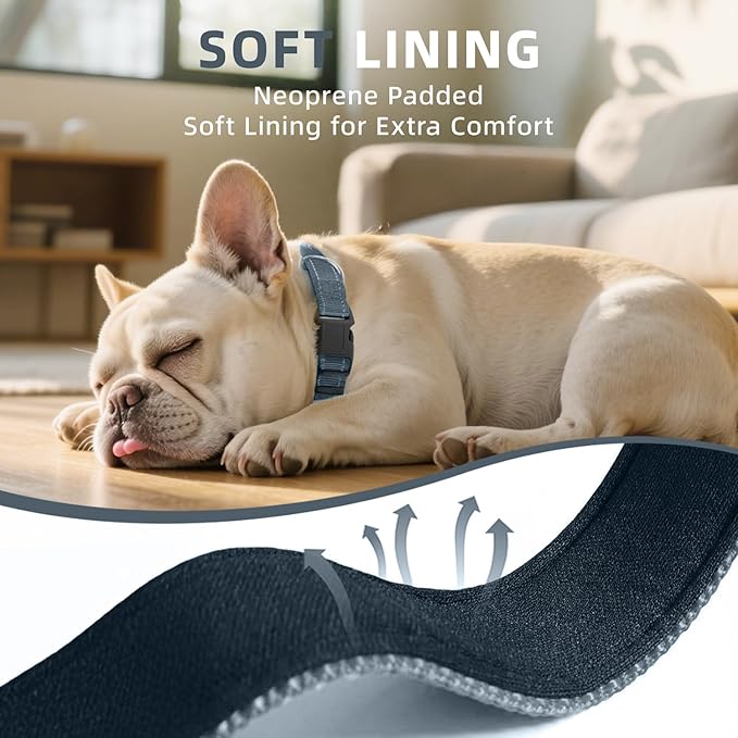 Reflective Dog Collar, Soft Neoprene Padded Nylon Pet Collar with Quick-Release Buckle, Adjustable for Mediunm Dogs,Grey,M, 3/4" Width