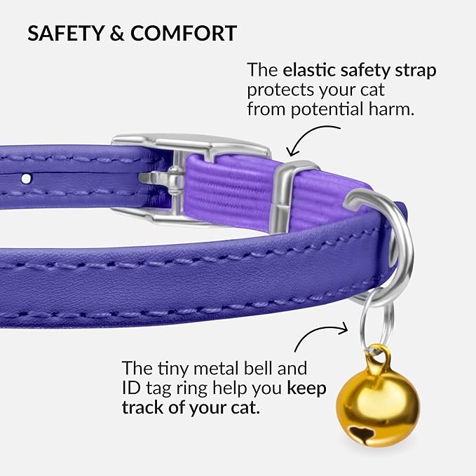 CollarDirect Leather Cat Collar with Bell - Kitten Collar, Small and Big Cat for Boy Cats, Girl Cats with Safety Elastic Strap (Neck Fit 8"-11", Purple)