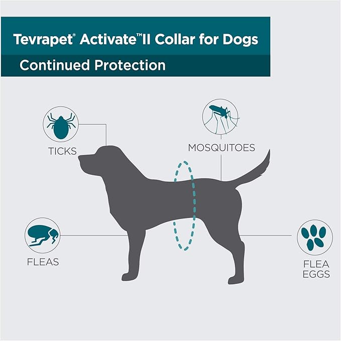 TevraPet Activate II Flea and Tick Collar for Dogs, 12 Months Prevention, 2 Count, for Medium and Large Dogs