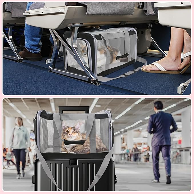 Pet Carrier for Large Cats of 20 Lbs, Collapsible Carrier Bag for Big Cat or 2 Kittens,Soft Sided Puppy Carrier with Sturdy Travel Transport Strap, Adequate Ventilation, 4 Mesh Windows (Black)