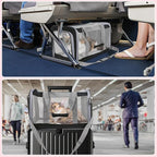 Pet Carrier for Large Cats of 20 Lbs, Collapsible Carrier Bag for Big Cat or 2 Kittens,Soft Sided Puppy Carrier with Sturdy Travel Transport Strap, Adequate Ventilation, 4 Mesh Windows (Black)