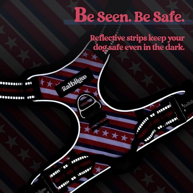 rabbitgoo Dog Harness No Pull with 2 Leash Clips, Adjustable Soft Padded, Reflective Oxford No Choke Pet Vest with Easy Control Handle for Large Dogs, Red Stripe, L