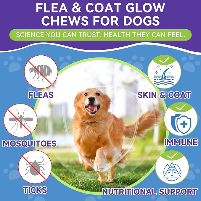 Flea and Tick Prevention for Dogs, Dog Flea Treatment with Skin & Coat Support 500 Crunchy & Krill Chews Dog Flea and Tick Treatment Chewable for Immunity & Energy for All Breeds & Ages Chicken Flavor