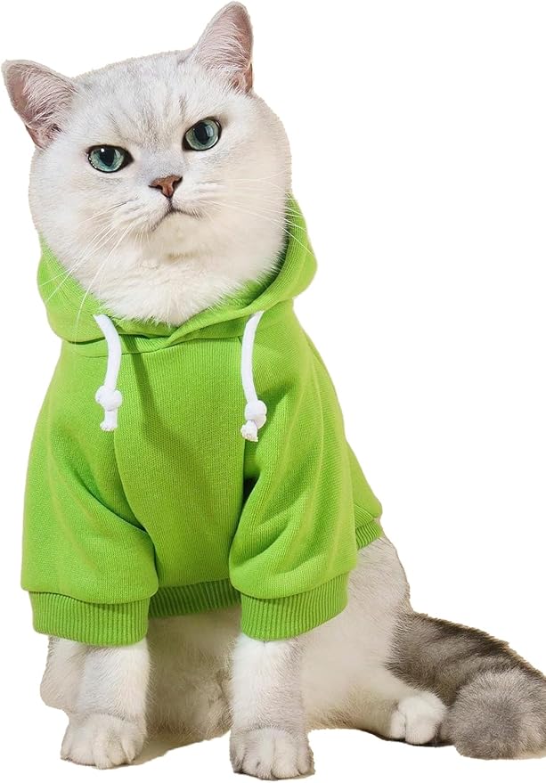 QWINEE Basic Dog Hoodie Sweatshirt Puppy Sweater Warm Cat Costumes Pet Clothes for Chihuahua Puppy Kitten Small Medium Dogs Green Small