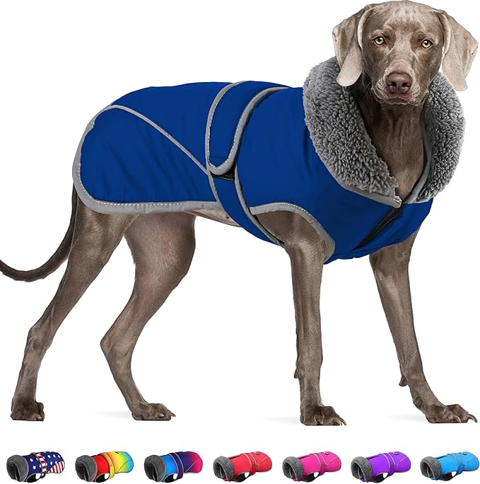 Dogcheer Dog Coat, Christmas Dog Jacket Waterproof Puppy Winter Coat for Cold Weather, Reflective Adjustable Pet Snow Jacket Warm Turtleneck Fleece Sweater for Small Medium Large Dogs - Blue, 2XL