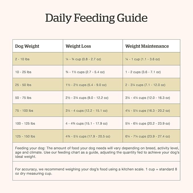 Now Fresh Grain-Free Premium Dry Dog Food with Lamb & Pork, Healthy Kibble for Adults Made with Real Red Meat, Chicken-Free Recipe, Enhanced with Pumpkin & Probiotics for Good Digestion, 22 lb Bag