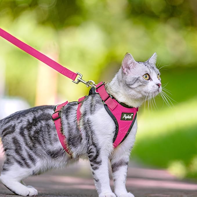 PUPTECK Cat Harness and Leash Set Escape Proof for Walking, Breathable Mesh Vest Adjustable Harness for Cats Puppy Small Animals, Reflective at Night, Fuschia Medium