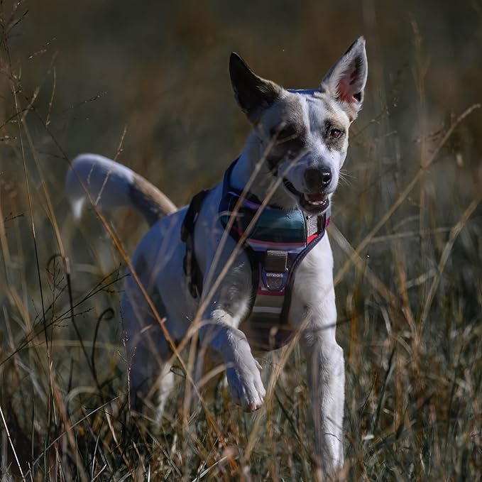 Embark Adventure Dog Harness, No-Pull Reflective Trim Dog Harness for Small, Medium & Large Dogs - Heavy Duty Oxford, 2 Leash Clips & Gel Lined Handle. Soft & Padded Puppy Dog Vest for Any Breed