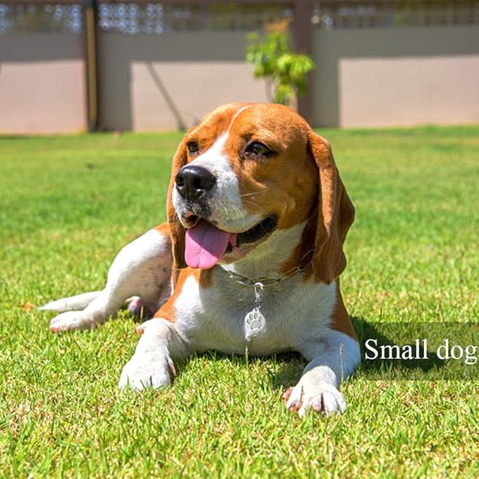 IVIA Dog Tag Clips / 2 Pack/Multiple Size 304 Stainless Steel Quick Clip with Rings/Easy Change Dog Cat ID Tag Holder for Small pet Collars and Harnesses.(2 Small Grey)