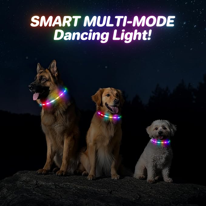 RUXAN Light Up Dog Collar,Dog Lights for Night Walking,LED Collars Waterproof,Glow Dog Collars Rechargeable,Glow in The Dark Dog Collar,Dog Collars Light for Small,Medium,Large Dogs (Small,Purple)