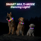 RUXAN Light Up Dog Collar,Dog Lights for Night Walking,LED Collars Waterproof,Glow Dog Collars Rechargeable,Dog Collars Light for Small,Medium,Large Dogs (Large,Purple)