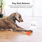 Interactive Dog Toys Dog balls, Automatic Moving Bouncing Rotating Interactive Dog Ball, Durable Motion Activated Automatic Rolling Ball Toys for Puppy Small Medium Large Dogs, Anti Boredom Dog Toys