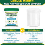 NEPHROMAX™ Synbiotic Capsules for Kidney Support for Dogs & Cats (120 Small Capsules) - Advanced Next-Generation Enteric detoxifying Proprietary Blend of Pre & Probiotics for Kidney Function,U.S.A