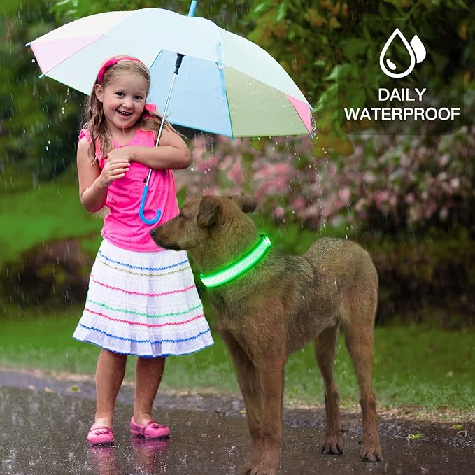 YFbrite Light up Dog Collar, USB Rechargeable LED Puppy Collar Super Bright Adjustable Glowing Dog Lights for Night Walking (Design 2-Green, Large)