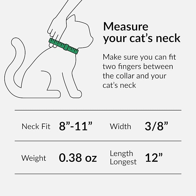 CollarDirect Leather Cat Collar with Bell - Kitten Collar, Small and Big Cat Strap for Boy Cats, Girl Cats with Safety Elastic Strap (Neck Fit 8"-11", White)