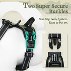 rabbitgoo Dog Harness No Pull with 2 Leash Clips, Adjustable Soft Padded, Reflective Oxford No Choke Pet Vest with Easy Control Handle for Large Dogs, Green Mountain,S