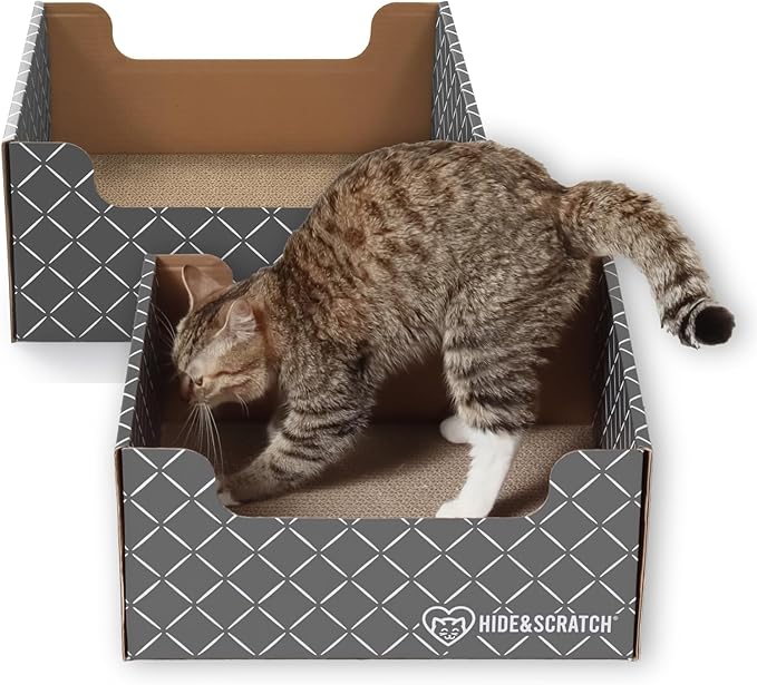Hide & Scratch Heavy Duty Cardboard Cat Scratcher Box and Cat Bed with Refillable Double-Sided Cardboard Scratch Pad for Indoor Cats (2 Cat Pack (Dark Grey)